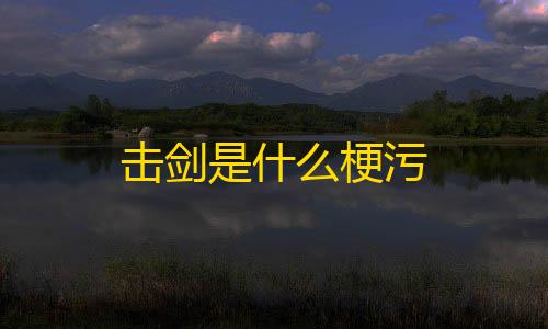 微商软件自动发货商城击剑是什么梗污